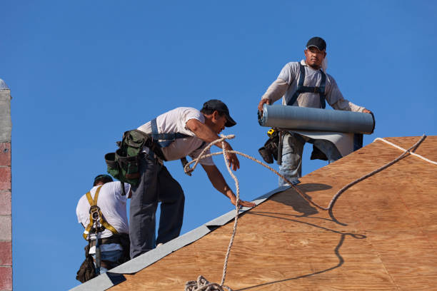 Best Emergency Roof Repair  in Fox Lake Hls, IL