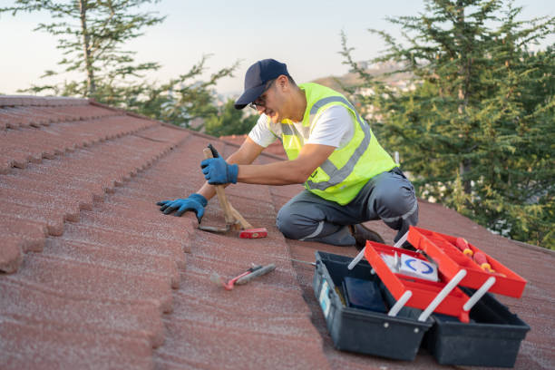 Residential Roof Replacement in Fox Lake Hills, IL